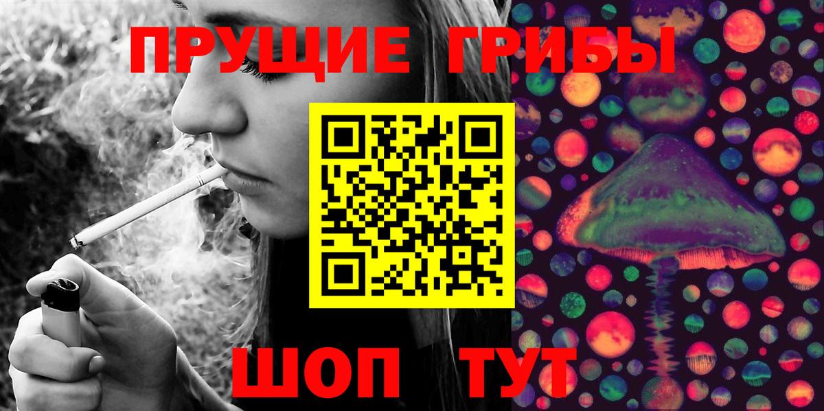 Псилоцибиновые грибы Psilocybine cubensis Верхний Уфалей