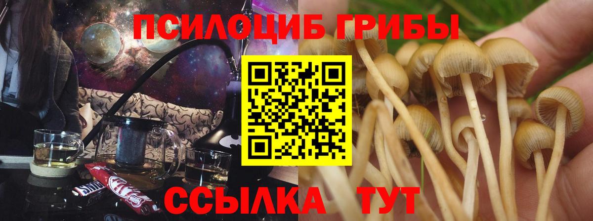 Верхний Уфалей  Галлюциногенные грибы GOLDEN TEACHER  как найти наркотики  Вход с VPN 